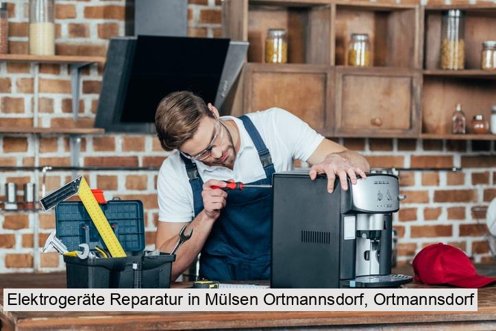 Elektrogeräte Reparatur in Mülsen Ortmannsdorf, Ortmannsdorf